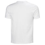 Helly Hansen Core Graphic T 2.0 M 54599 002 tričko 2XL