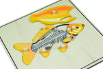 Moyo Montessori Moyo Montessori Puzzle s kostrou - ryba