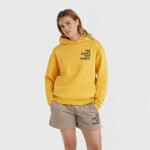 O'Neill Future Surf Society Hoodie 92800613435