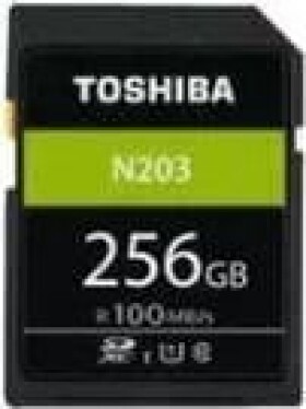 Toshiba N203 SDXC 256 GB Class 10 UHS-I/U1 (THN-N203N2560E4)
