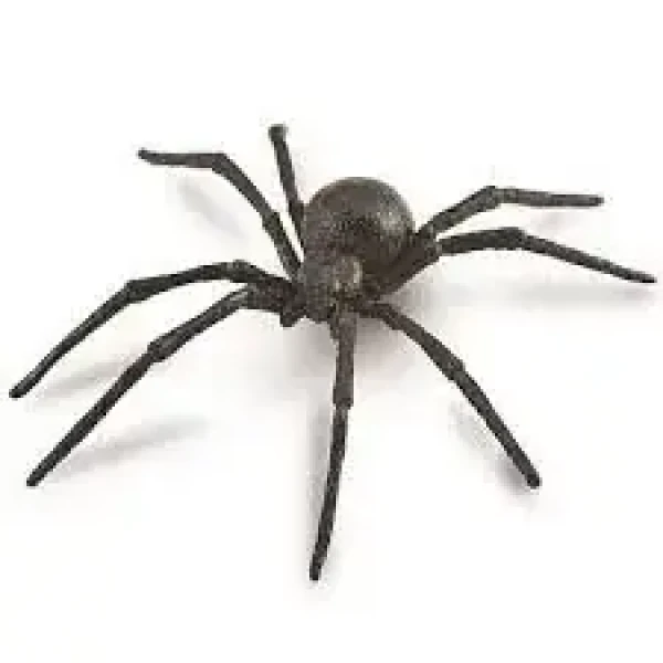 Collecta Snovačka jedovatá (čierna vdova)