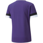 Puma teamRise Jersey 704932 10 muži