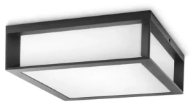 Philips Skies 2xE27 42W antracitové / Vonkajšie prisadené svietidlo / bez zdroja / IP44 (SKL000392631)