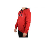 Pánska mikina Helly Hansen 1877 Hoodie M 53338-111 M