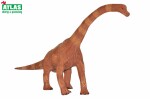 G - Figúrka Dino Brachiosaurus 30cm, Atlas, W101830