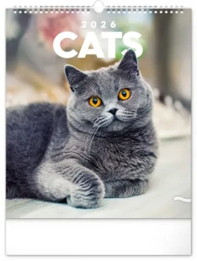 NOTIQUE Nástenný kalendár Mačky 2026 / 30 x 34 cm (PGN-35225-L)