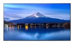 NEC P556 čierna / Komerčný displej / 55 "4K UHD / IPS / 700 cd/m2 / 24/7 / Intel procesor (PNP556)