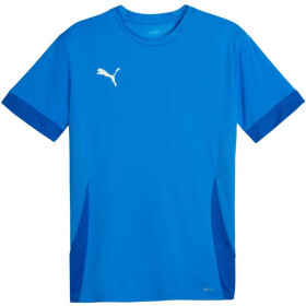 Puma teamGoal Matchday Jersey M 705747 02 muži M