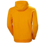 Pánska mikina Helly Hansen Logo Hoodie 33977-328