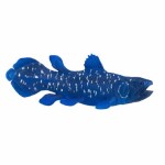 Mojo Animal Planet Coelacanth