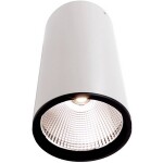 Deko Light 348065 Luna Stropné svítidlo LED En.trieda 2021: G (A - G) 40.2 W biela; 348065