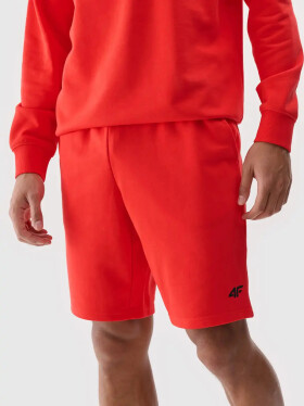 Pánske šortky 4F L