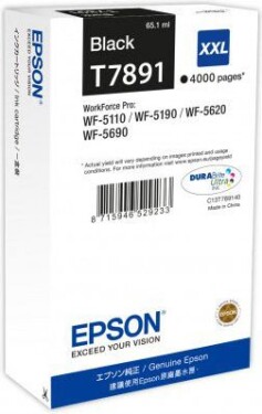 Epson Toner C13T789140 (black)