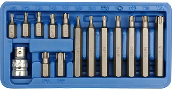 Vorel Sada bitov 15 ks CrV TORX / Sada bitov / T20-T55 / Dĺžky 30 a 75 mm / Plastový box (TO-66580)