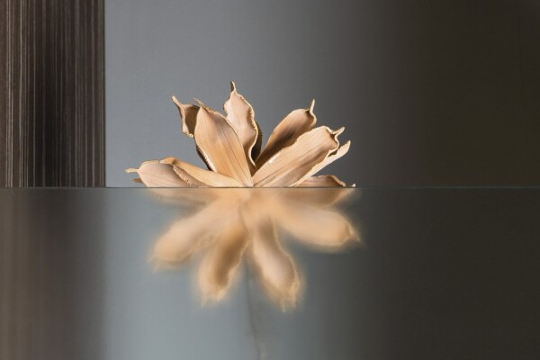 AQUALINE - PILOT otočné sprchové dvere dvojkrídlové 800 PT082