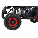 Mamido Detská benzínová štvorkolka RamiGO WILDPEAK 110CC čierno-červená