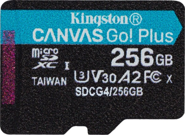 Kingston Canvas Go! Plus (Gen4) MicroSDXC 256 GB Class 10 UHS-I/U3 A2 V30 (SDCG4/256GBSP)