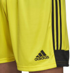 Pánske šortky Tastigo 19 DP3249 Yellow Adidas