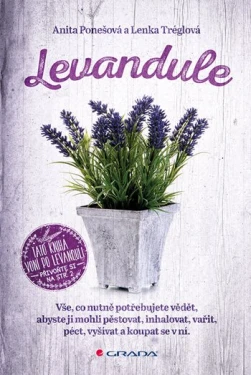 Levandule, Tréglová Lenka