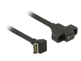 DeLock kábel s montážou na panel USB 3.1 Gen 2 key A 20 pin samec USB 3.1 Gen 2 USB Type-C samica 45 cm (85326-DE)