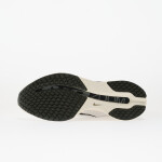 Tenisky Nike Pegasus Premium Run Platinum Tint/ Black-Sail-College Grey-Summit White-Sequoia EUR 44