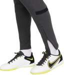 Dámske tréningové nohavice Dri-FIT Academy CV2665-060 Nike