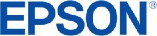 Epson T47A9 Light Gray - originálny