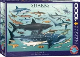 EUROGRAPHICS Puzzle Žraloky