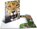 Herma Dosky s gumičkou Leopard A4 / Dosky s gumičkou / Polypropylén / Viacfarebné (7137)