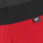 Pánske boxerky 4F M059 2-pack multicolor 2 4FWMM00UBXSM059 92S XL