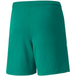 Šortky Puma teamLIGA Jr 704931 05 152CM