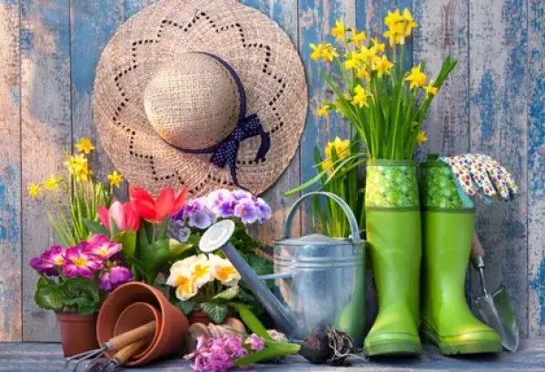 BlueBird Puzzle Prichystané na zahradničení