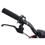 Mamido Detská benzínová motorka RamiGO NITRO 60CC červená