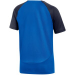 Tričko Nike DF Academy Pro SS Top K Jr DH9277 463 XS