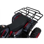 Mamido Detská benzínová štvorkolka RamiGO WILDPEAK 110CC čierno-červená