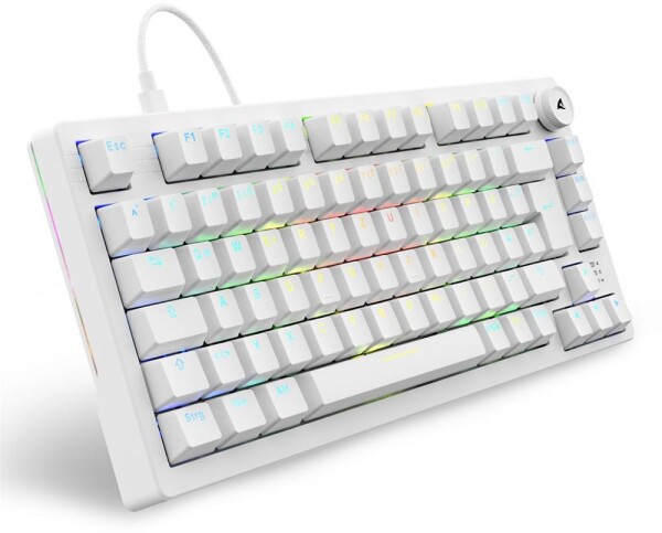Sharkoon Sharkoon Gaming Tastatur Skiller SGK25 weiß DE