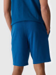 Pánske šortky 4F XL