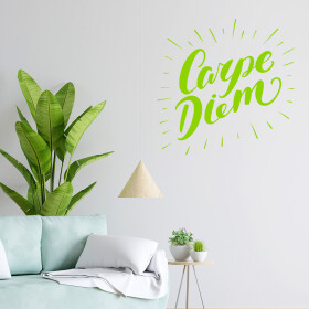 Veselá Stena Samolepka Carpe Diem (Užívaj dňa) Farba: zelená, Veľkosť: 100 x 100 cm