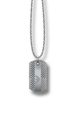 Emporio Armani Pánsky náhrdelník z ocele Eagle Logo EGS3149040