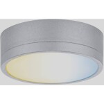 Paulmann CC Medal podhľadové svietidlo 2.30 W teplá biela chróm; 99955