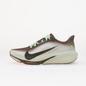 Tenisky Nike Pegasus 42 Ironstone/ Black-Sea Glass-Arctic Green EUR 45