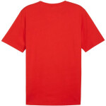 Puma Team Rise Logo Jersey Cotton M 658705 01 Pánske M