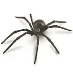 Collecta Snovačka jedovatá (čierna vdova)