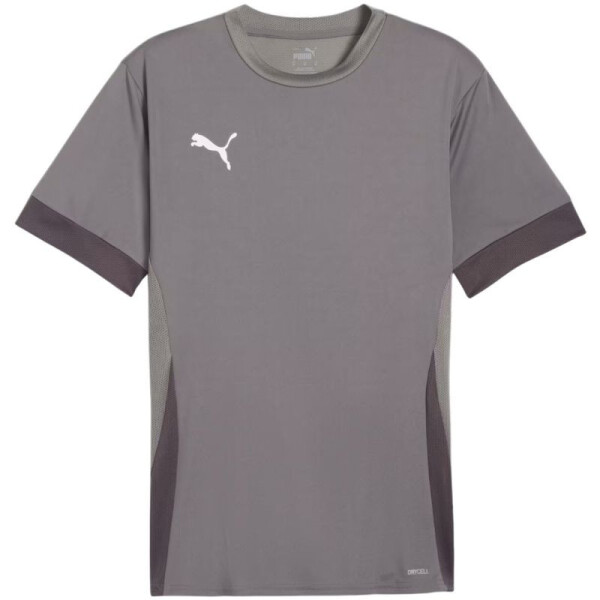 Puma teamGoal Matchday Jersey M 705747 13 muži L