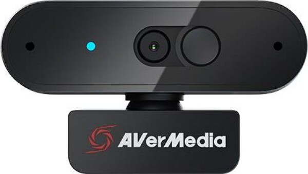 AVerMedia PW310P