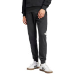 Nohavice adidas Essentials Big Logo French Terry M IN6163 S