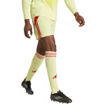 Pánske žlto-červené šortky adidas Tiro 24 JI6090 M