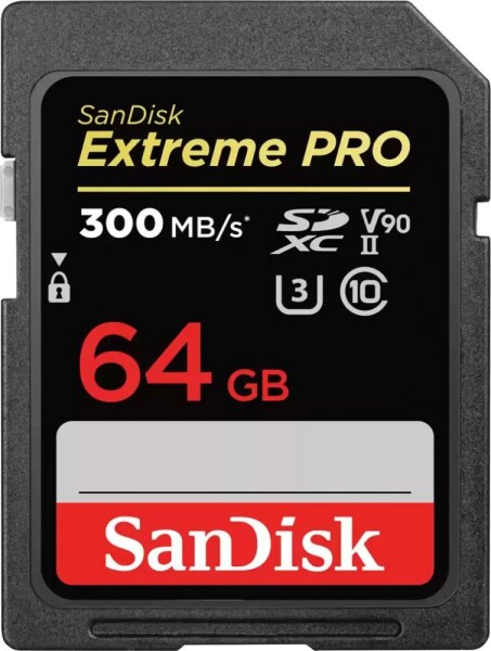 SanDisk Extreme PRO SDXC Class 10 (SDSDXDK-064G-GN4IN)