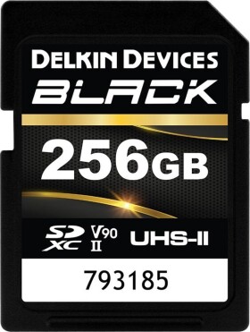 Delkin Black Rugged SDXC 256 GB Class 10 UHS-II V90 (DSDBV90256BX)