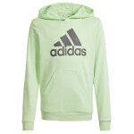 Mikina adidas Big Logo Hoodie Jr IS2591 140 cm